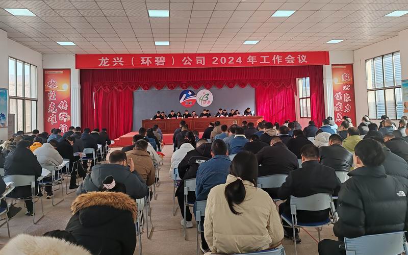 龙兴（开云体育-开云（中国）
）公司召开2024年工作会议