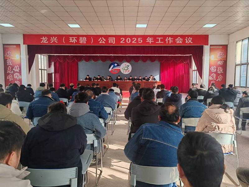 龙兴（开云体育-开云（中国）
）公司召开2025年工作会议